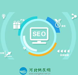 石家莊網(wǎng)絡(luò)生態(tài)構(gòu)建 從網(wǎng)站建設(shè)到平臺(tái)開(kāi)發(fā)的全方位服務(wù)